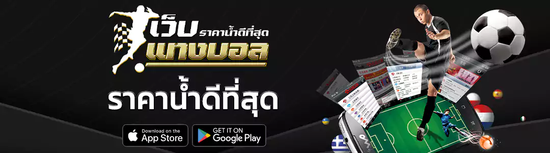 ราคาน้ำดีที่สุด